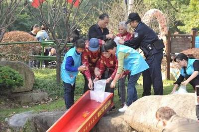 紅龍魚飼料品質排名榜：紅龍魚飼料品牌品牌排行榜