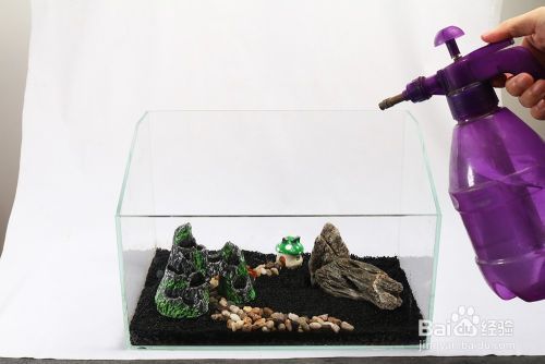 虎魚白眼治療方法圖解視頻：虎魚白眼治療方法 虎魚白眼治療方法圖解視頻：虎魚白眼治療方法 虎魚百科 第2張