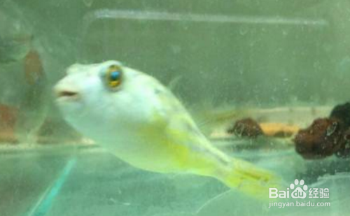 yee水泵和森森水泵哪個好 yee水泵和森森水泵哪個好 森森魚缸 第2張