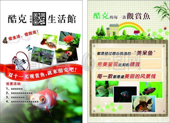 龍魚吃小魚好還是蝦好養(yǎng)