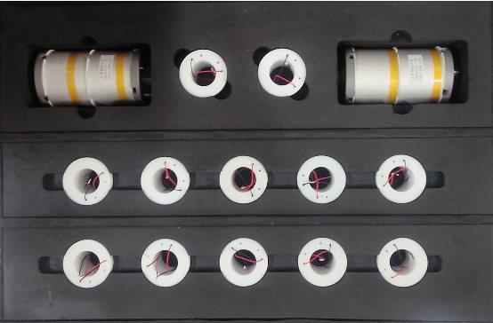 龍魚得了腸炎怎么治好