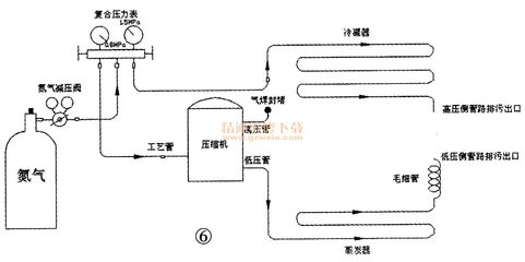 龍魚要求phvs祥龍魚場：龍魚適宜的ph值范圍