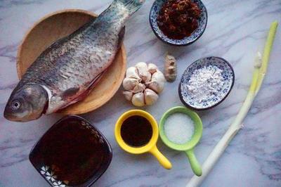 虎皮魚倒立怎么回事：為什么新手養(yǎng)的觀賞魚總是倒立游的不能正常 虎皮魚倒立怎么回事：為什么新手養(yǎng)的觀賞魚總是倒立游的不能正常 虎魚百科 第1張