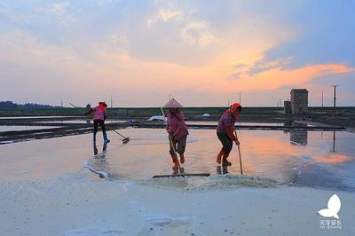 豬鼻龜吃什么長的又快又好看圖片大全(豬鼻龜吃什么長的又快又好看圖片大全集)