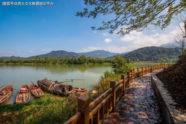 銀龍魚嘴撞爛了多久能好啊圖片視頻(銀龍魚嘴撞爛了多久能好啊圖片視頻講解) 銀龍魚嘴撞爛了多久能好啊圖片視頻(銀龍魚嘴撞爛了多久能好啊圖片視頻講解) 銀龍魚百科 第2張