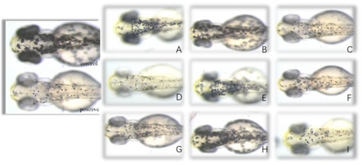 固原魚缸售后維護電話:博特魚缸優缺點及缺點 固原魚缸售后維護電話:博特魚缸優缺點及缺點 博特水族 第2張