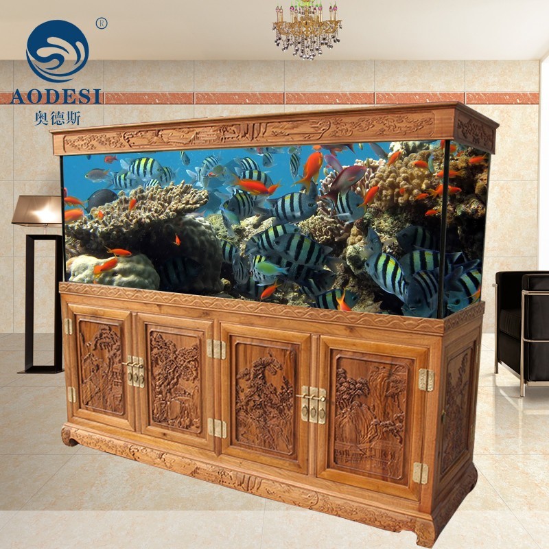 50魚(yú)缸怎么造景：50厘米魚(yú)缸造景的一些關(guān)鍵步驟和要點(diǎn)