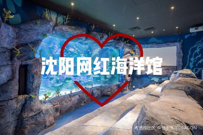創寧水泵流量衰減(創寧水泵流量衰減怎么辦) 創寧水泵流量衰減(創寧水泵流量衰減怎么辦) 創寧水族 第2張