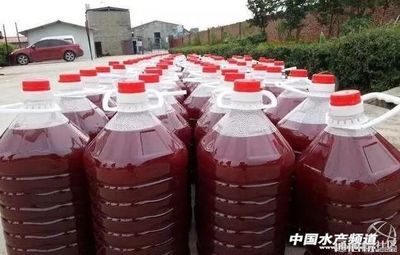 龍魚用土霉素泡幾天vs祥龍魚場：土霉素對龍魚的影響