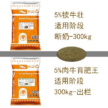 紅龍魚養幾條不打架：關于紅龍魚養殖的一些建議