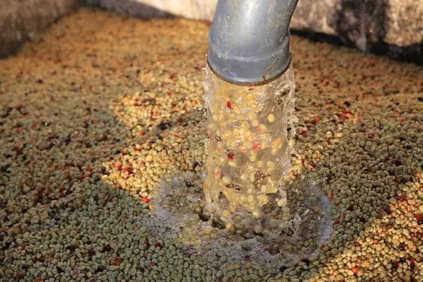 深圳曼博特科技有限公司怎么樣啊(廣州曼博特)