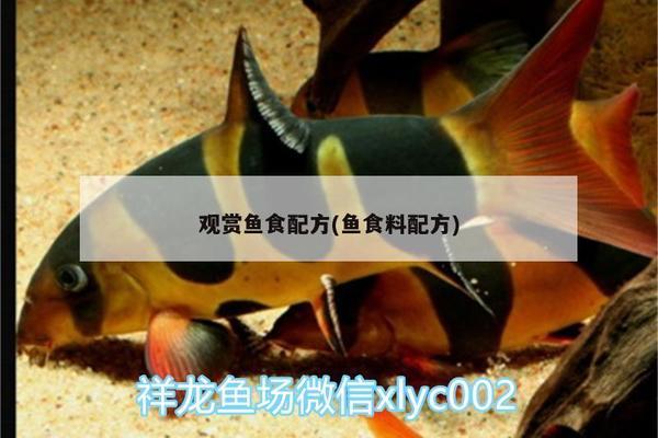 博特ts1000水泵如何(博特水泵ts2)
