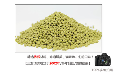 鯊魚能不能和金龍魚混養(yǎng)呢視頻(金龍魚和藍(lán)鯊能混養(yǎng))