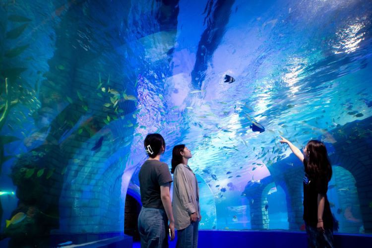 天津水族店，天津有哪些知名的水族造景師 天津水族店，天津有哪些知名的水族造景師 全國(guó)水族館企業(yè)名錄 第1張