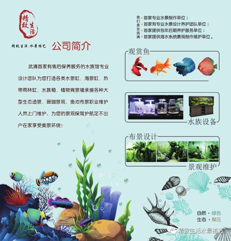 天津水族店，天津有哪些知名的水族造景師 天津水族店，天津有哪些知名的水族造景師 全國(guó)水族館企業(yè)名錄 第7張