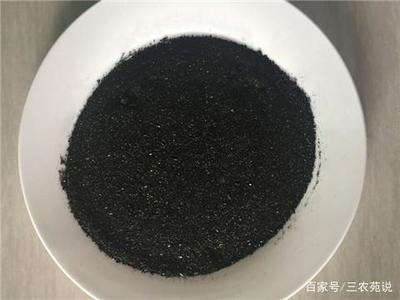 豬鼻龜是什么樣子的(健康的豬鼻龜是怎樣的)