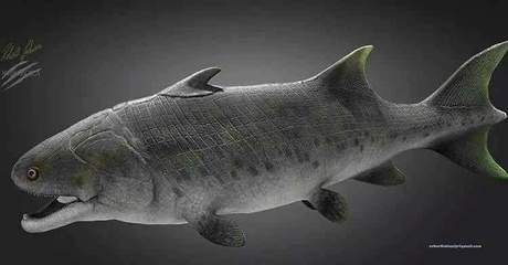 彩鰈水族有限公司官網(幻彩水族魚缸官網)