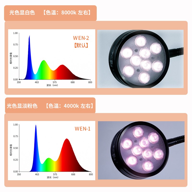 森森的英語怎么讀