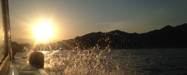 1.2米魚缸能養幾條魚：1.2米魚缸可以養多少魚