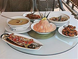 應縣龍魚店，應縣龍魚店有哪些專業技巧 應縣龍魚店，應縣龍魚店有哪些專業技巧 全國水族館企業名錄 第2張