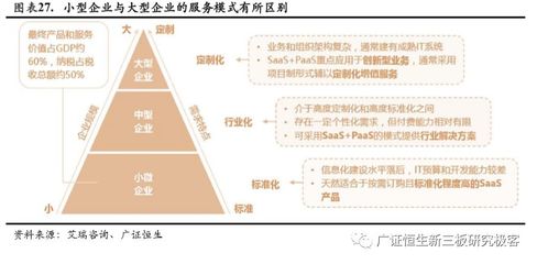 銀龍魚吃魚嗎(銀龍魚吃小魚嗎?)