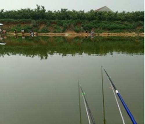 龍魚需要一直打氧嗎為什么vs祥龍魚場：如何判斷龍魚是否需要打氧