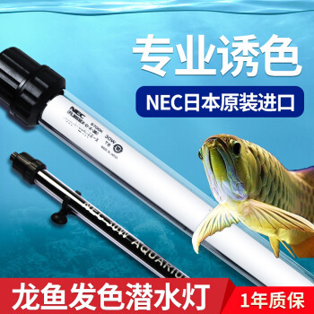 虎魚眼里有白點是什么原因：虎魚眼睛上的白點是什么原因虎魚眼睛出現白點的原因