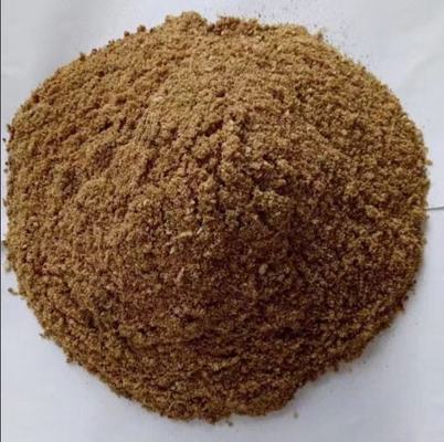 魟魚狀態好的表現：判斷魟魚狀態好的表現包括但不限于良好的食欲和適中的食量 魟魚狀態好的表現：判斷魟魚狀態好的表現包括但不限于良好的食欲和適中的食量 魟魚百科 第2張