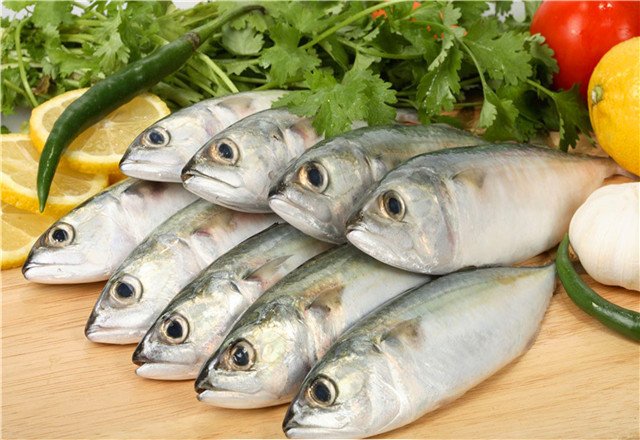 60厘米魚缸造景視頻講解：60厘米魚缸造景教程