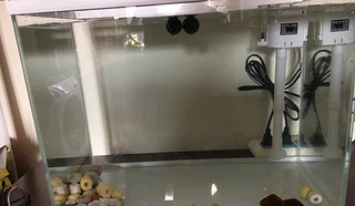 龍魚有傷多久能恢復好vs祥龍魚場：龍魚受傷后的恢復時間因傷情而異