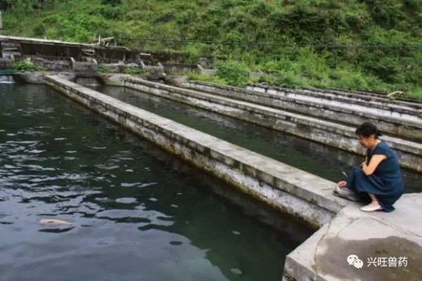 創(chuàng)寧水泵停電后不能啟動怎么辦(創(chuàng)寧水泵怎么關(guān)機(jī))