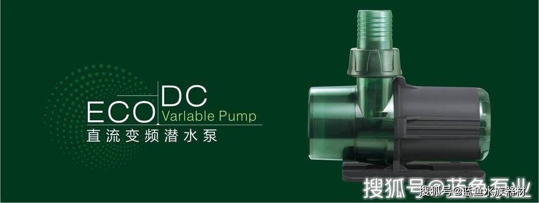 博特水泵e02以后不工作了(水泵忽然不工作了)