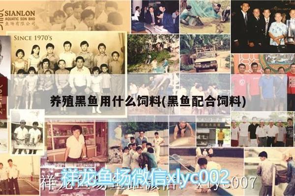虎魚捕食：虎魚在捕食時表現出極高的速度和準確性，虎魚捕食行為揭示重要作用