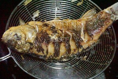 紅龍魚增色用什么燈光：吉印新款i7plus龍魚專用燈光類型和注意事項