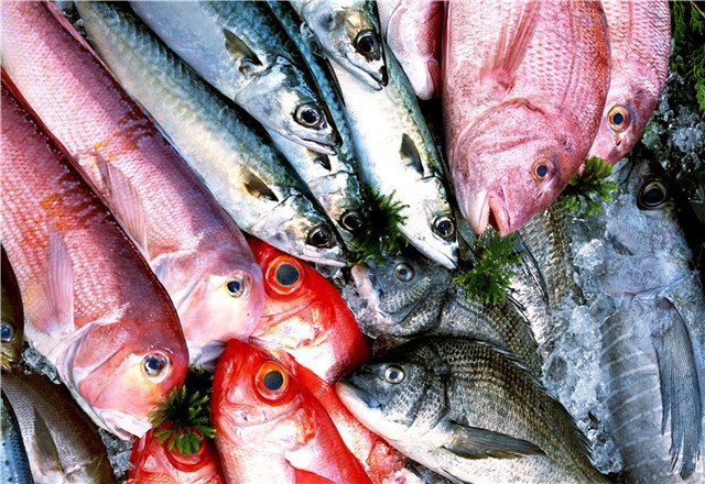 金龍魚的樣子圖片欣賞圖(金龍魚長什么樣子圖片) 金龍魚的樣子圖片欣賞圖(金龍魚長什么樣子圖片) 魟魚百科 第1張