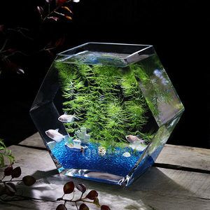 大魚缸改造成斗魚缸:斗魚飼養技巧斗魚飼養技巧斗魚飼養技巧斗魚缸改造 魚缸百科 第1張 大魚缸改造成斗魚缸:斗魚飼養技巧斗魚飼養技巧斗魚飼養技巧斗魚缸改造 大魚缸改造成斗魚缸:斗魚飼養技巧斗魚飼養技巧斗魚飼養技巧斗魚缸改造 魚缸百科 第1張