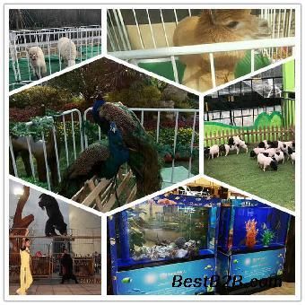 慈溪哪里有做玻璃魚缸的廠家：在慈溪提供玻璃魚缸相關產品和服務的公司和工廠的信息