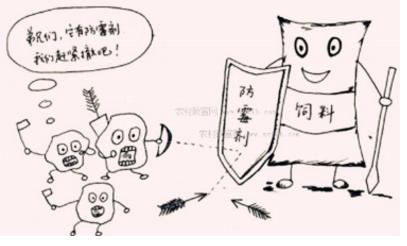 豬鼻龜爛尾怎么治療(豬鼻龜腹部爛的原因) 豬鼻龜百科 第1張 豬鼻龜爛尾怎么治療(豬鼻龜腹部爛的原因) 豬鼻龜爛尾怎么治療(豬鼻龜腹部爛的原因) 豬鼻龜百科 第1張
