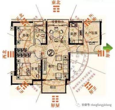 銀龍魚眼睛有白膜圖片(龍魚眼睛有點白膜) 銀龍魚眼睛有白膜圖片(龍魚眼睛有點白膜) 銀龍魚百科 第1張