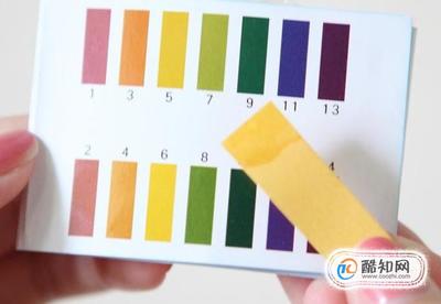 博特ts2水泵檔位(博特ts水泵二代的區別)