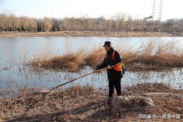 魚缸可以放木紋石嗎(魚缸能放木炭嗎)