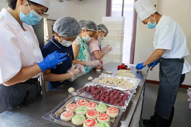 紅龍魚燈什么牌子好用又實惠的：紅龍魚燈對魚色彩影響研究