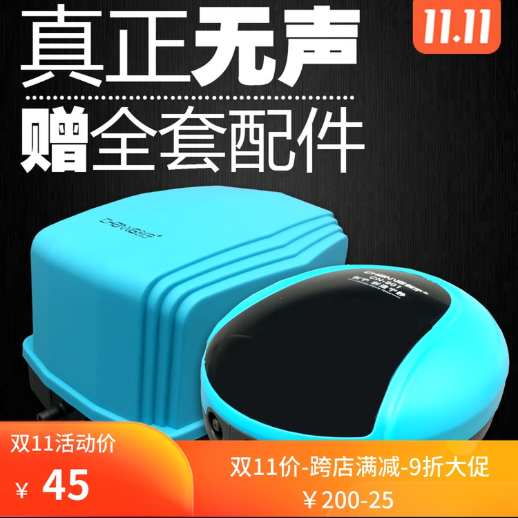 東坡龍魚水族店(龍魚水族館)