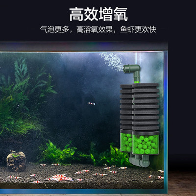 銀龍魚(yú)死亡是什么樣(銀龍魚(yú)為什么無(wú)緣無(wú)故的死了)