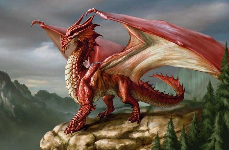 紅龍圖片霸氣，紅龍圖片霸氣：陽光下的4條紅龍,自然光也很透紅,而且更帥了