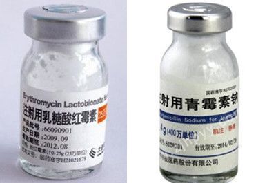 虎魚眼球內部渾濁：虎魚眼球內部出現渾濁可能是由于多種原因引起的