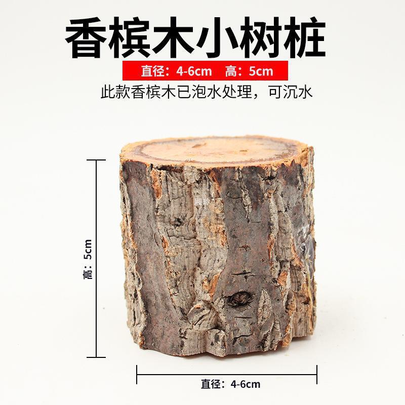 魟魚幼苗怎么養(yǎng)的：魟魚幼苗養(yǎng)殖裝置