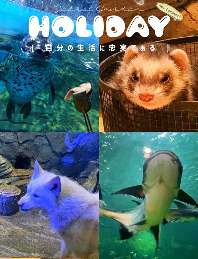 婁星水族店，婁底市婁星區魚樂圈水族店 婁星水族店，婁底市婁星區魚樂圈水族店 全國水族館企業名錄 第4張