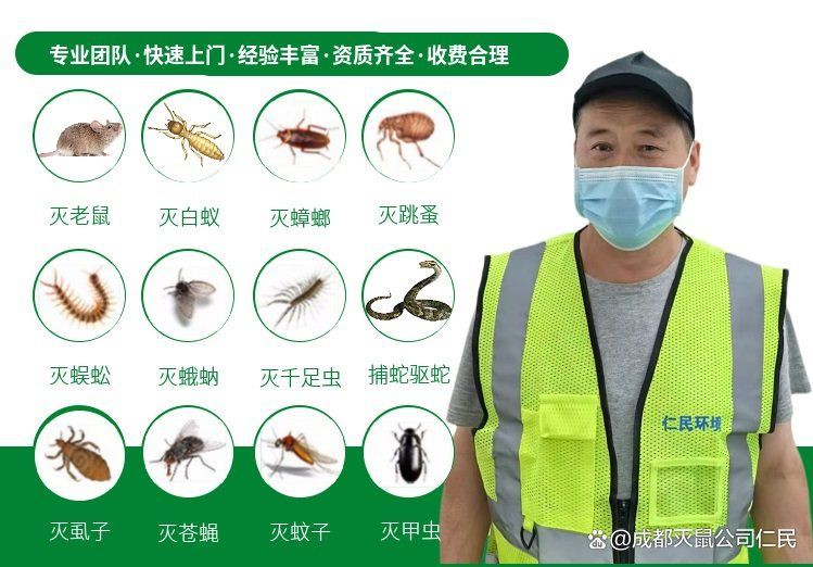 滅鼠公司一般多少錢，成都滅鼠公司一般多少錢 滅鼠公司一般多少錢，成都滅鼠公司一般多少錢 龍魚百科 第2張
