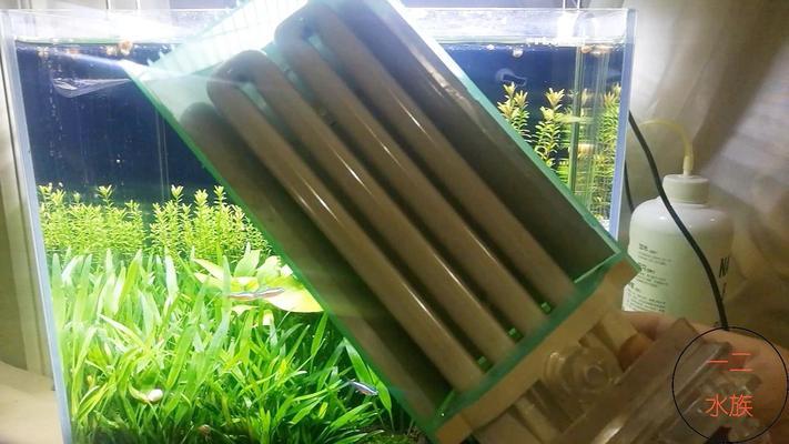 關于過背金龍魚用什么顏色的燈光養比較好的信息